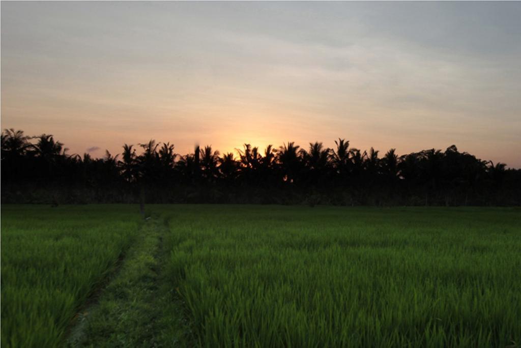 Vila Kubu Soca Ubud (Bali)