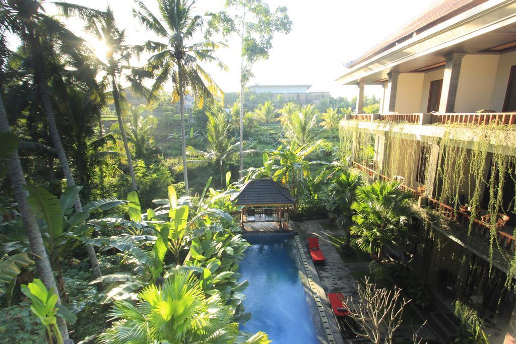 Alam Terrace Ubud