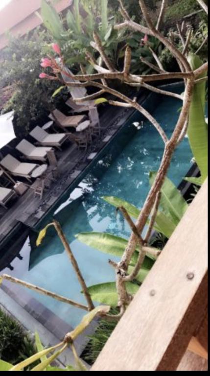Kailash Bali Homestay *