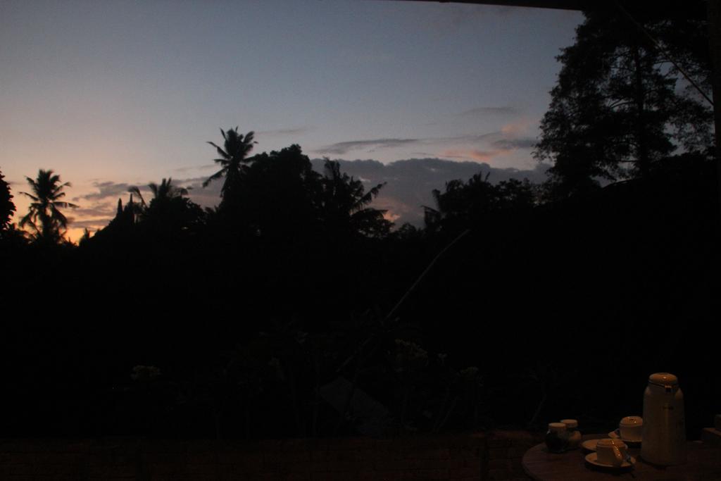 Ubud Rooms B&B Bed & Breakfast 2*