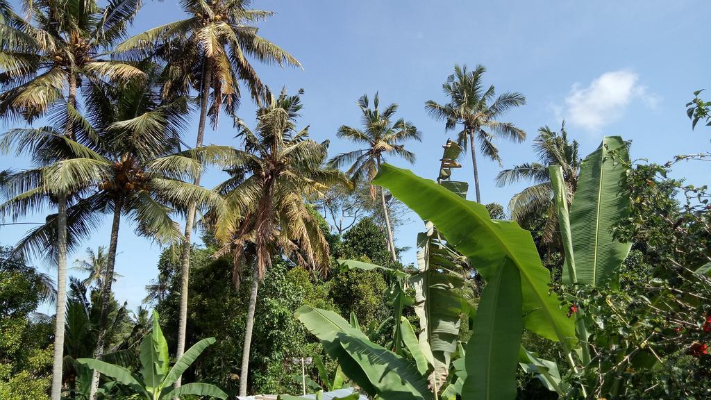 Uma Loris Ubud (Bali)