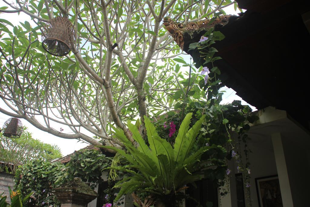 Ubud Rooms B&B Bed & Breakfast Ubud