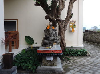 Guest house Arnawa