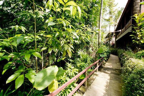 Heaven Sayan Villa Ubud