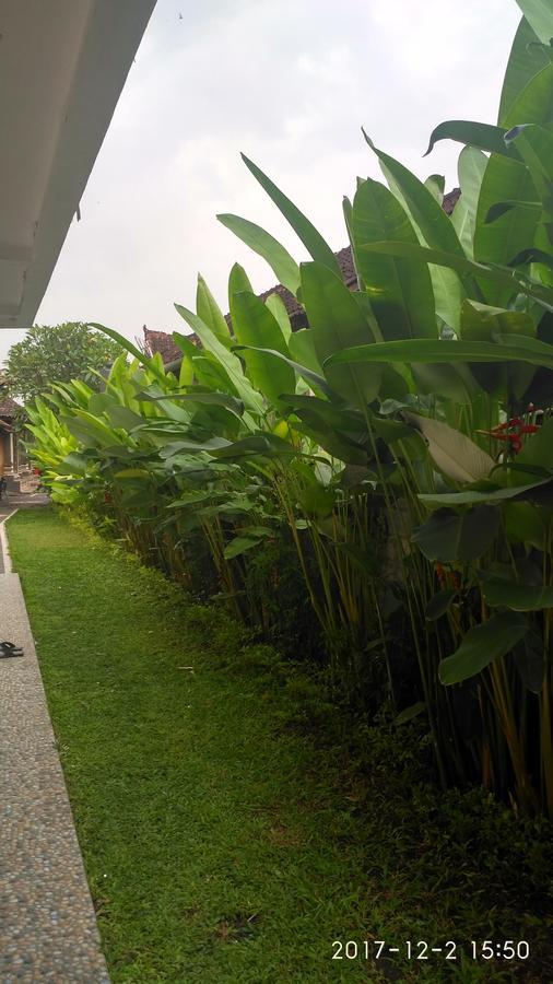 Obama House Homestay