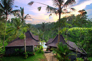 Dd Ubud Jungle Villa
