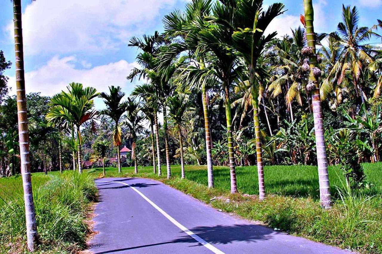 Villa White Ubud (Bali)