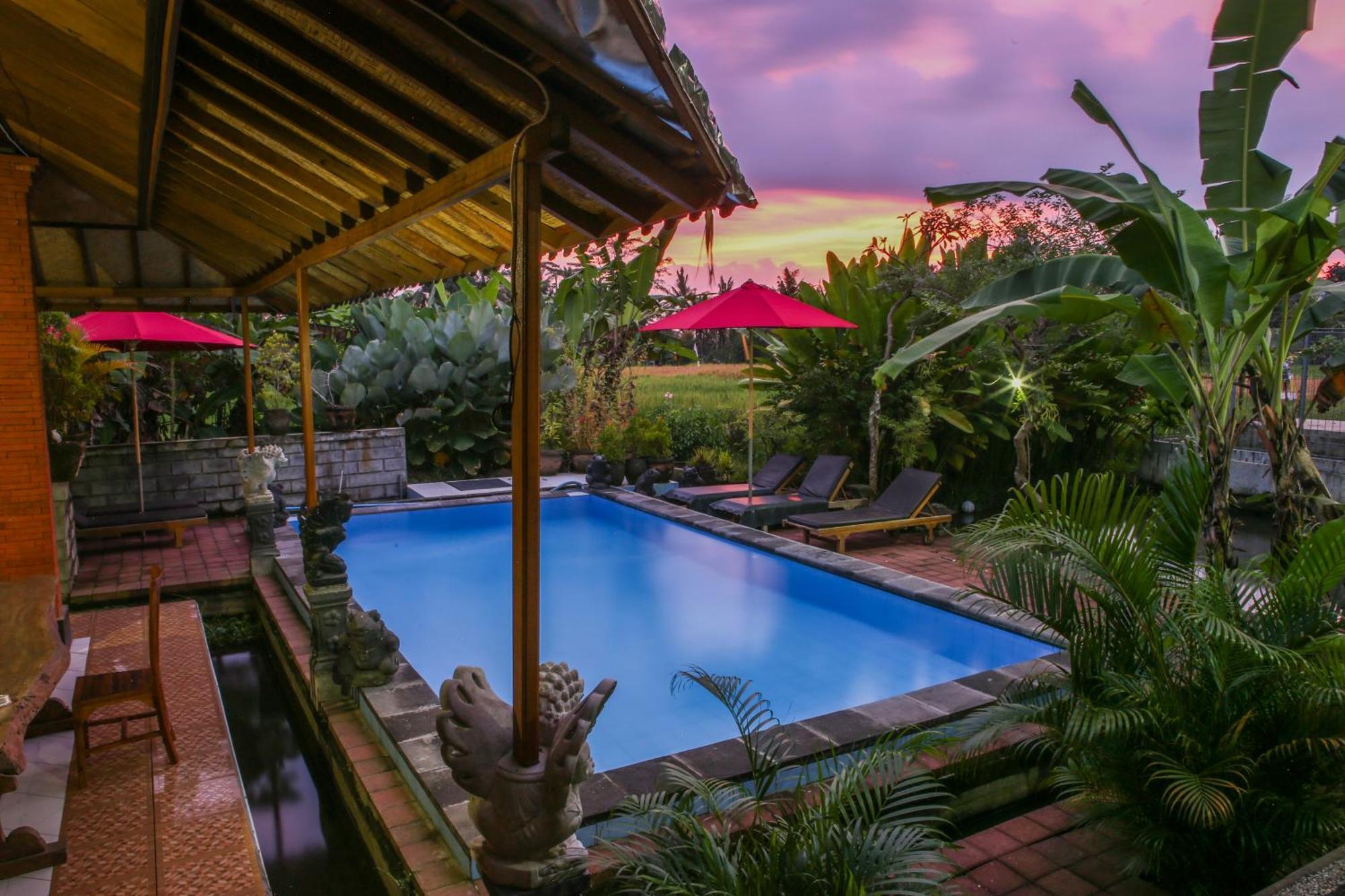 Guest house Soca House Ubud (Bali)