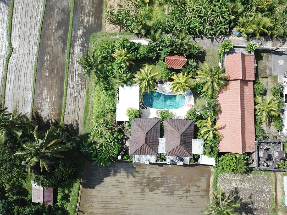 Wisma tamu Baliwid Ubud (Bali)