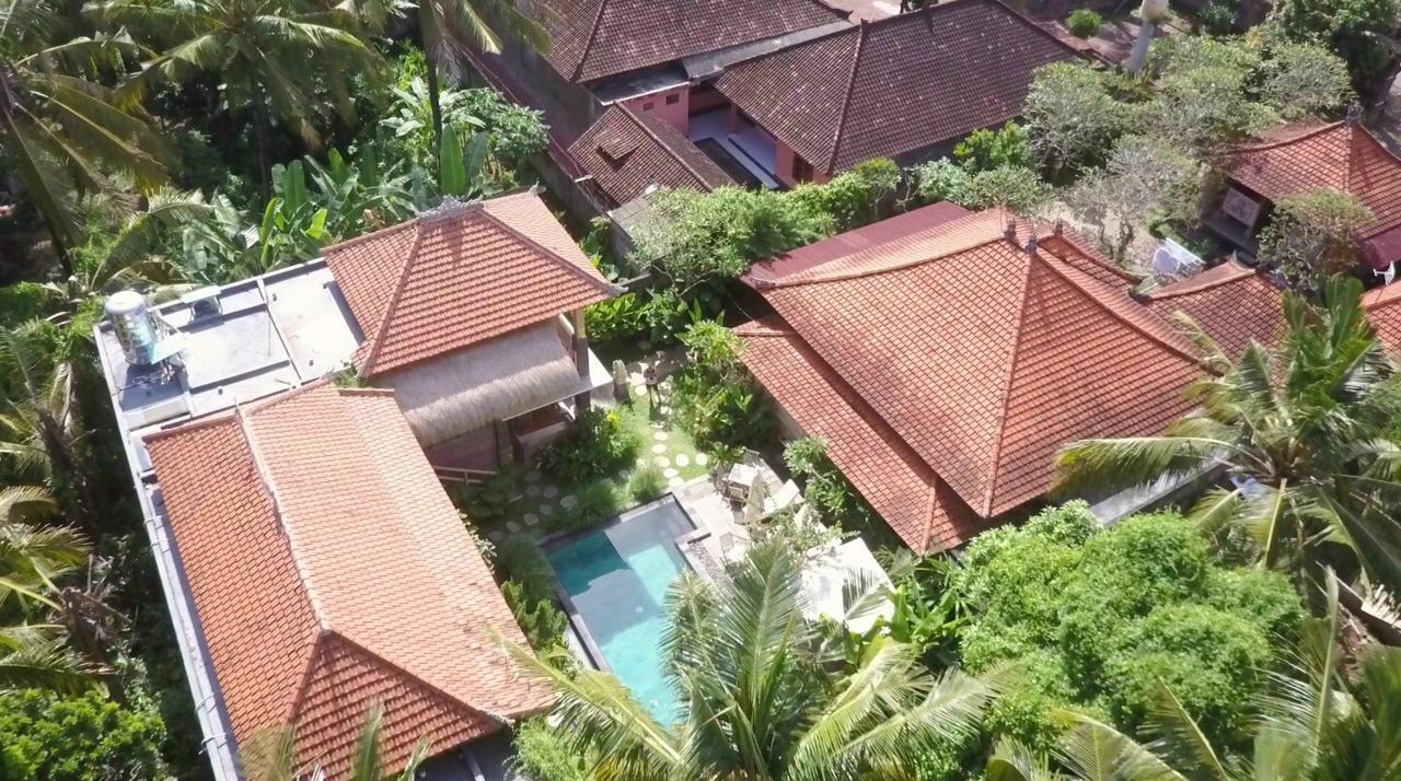 Homestay Kailash Bali