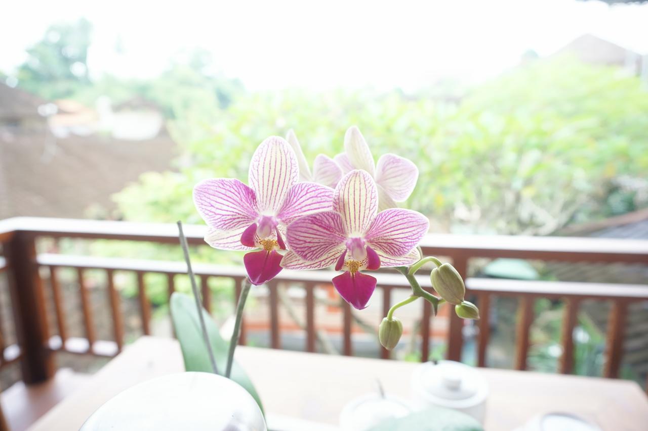 Cantika Guest house *