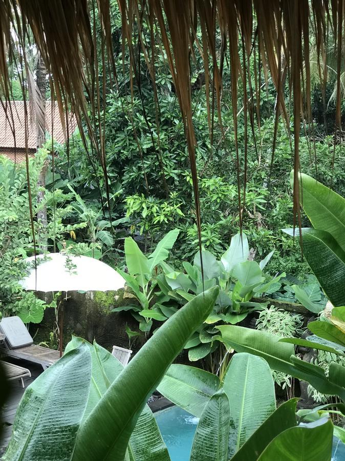 Kailash Bali Ubud (Bali)