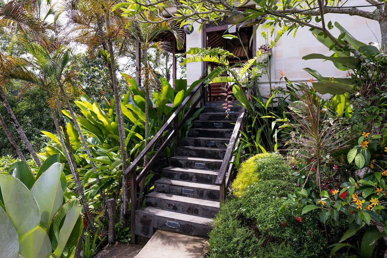 Sagitta Villa