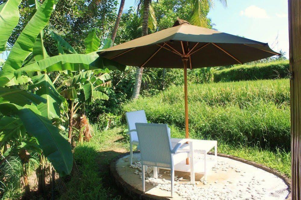 Hotel Shriman Yoga
