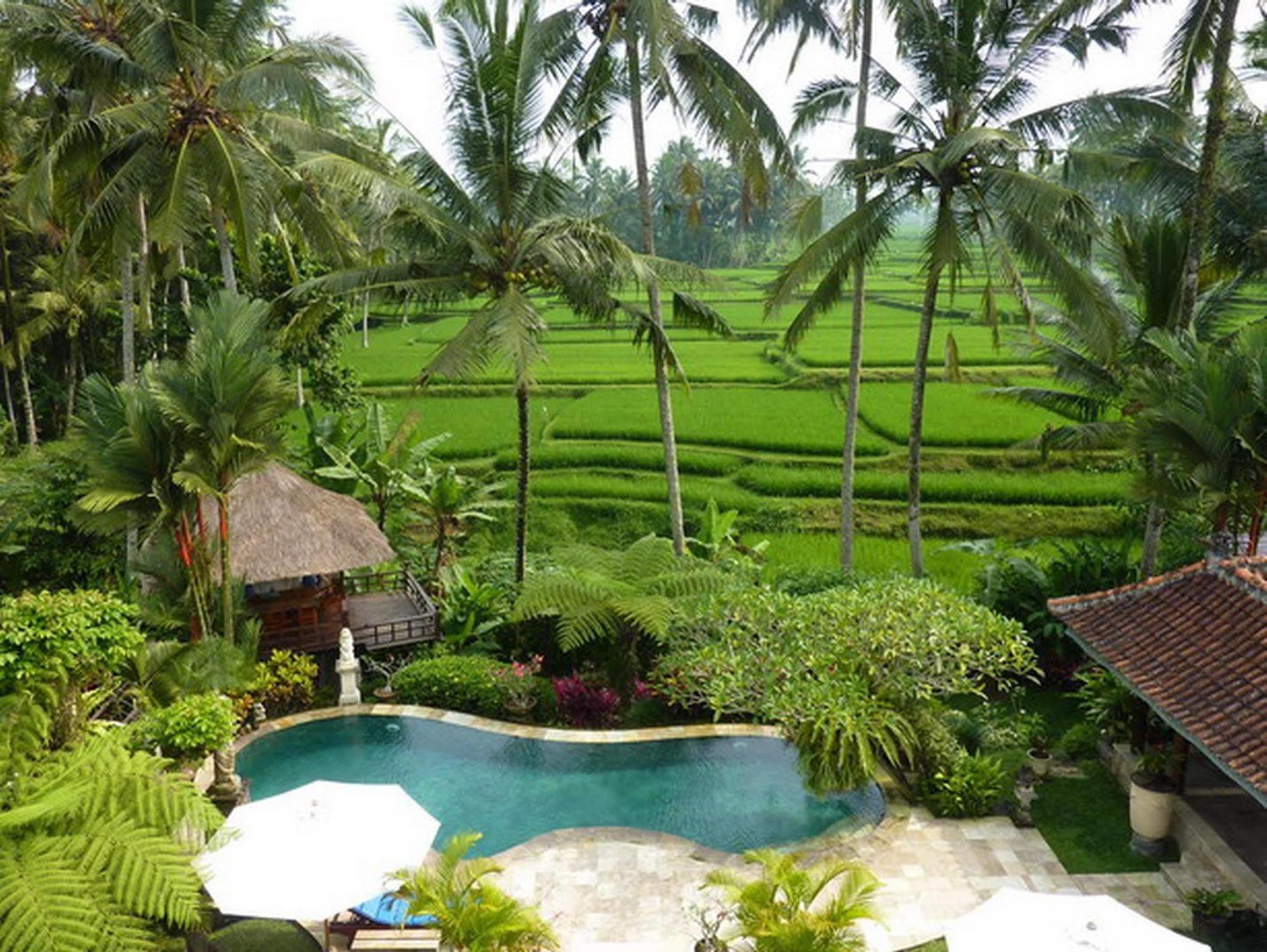 Holiday home Orchid Bali *