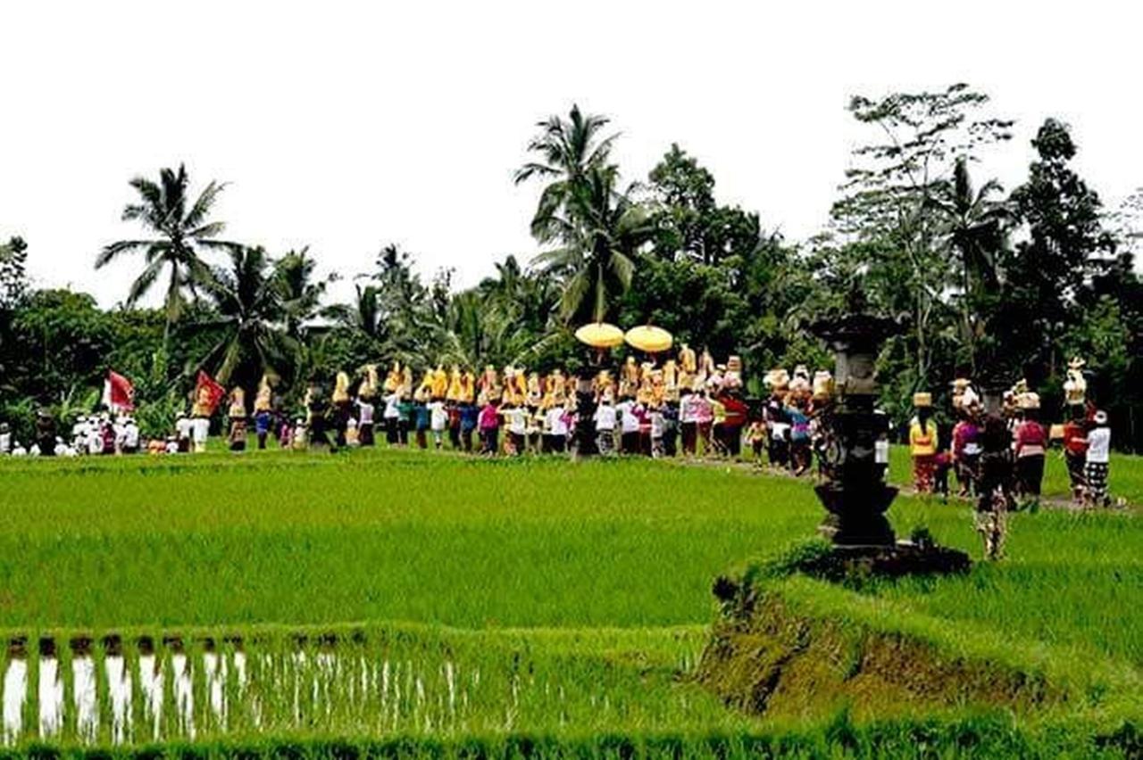 Villa Kishi-kishi Ubud (Bali)