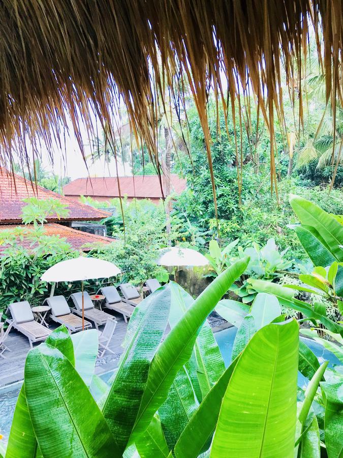 Homestay Kailash Bali *