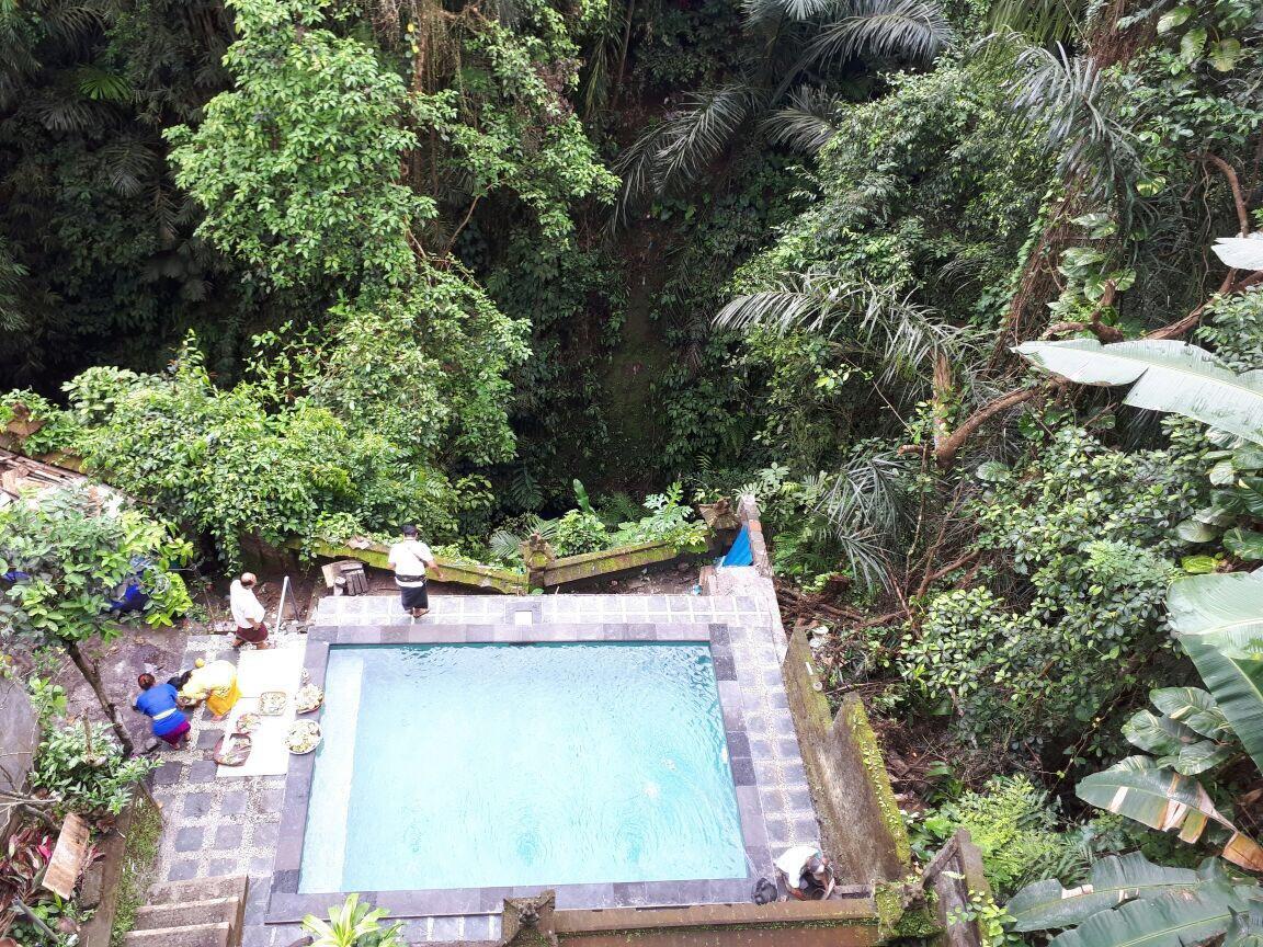 Anggrek Mas Bed & Breakfast