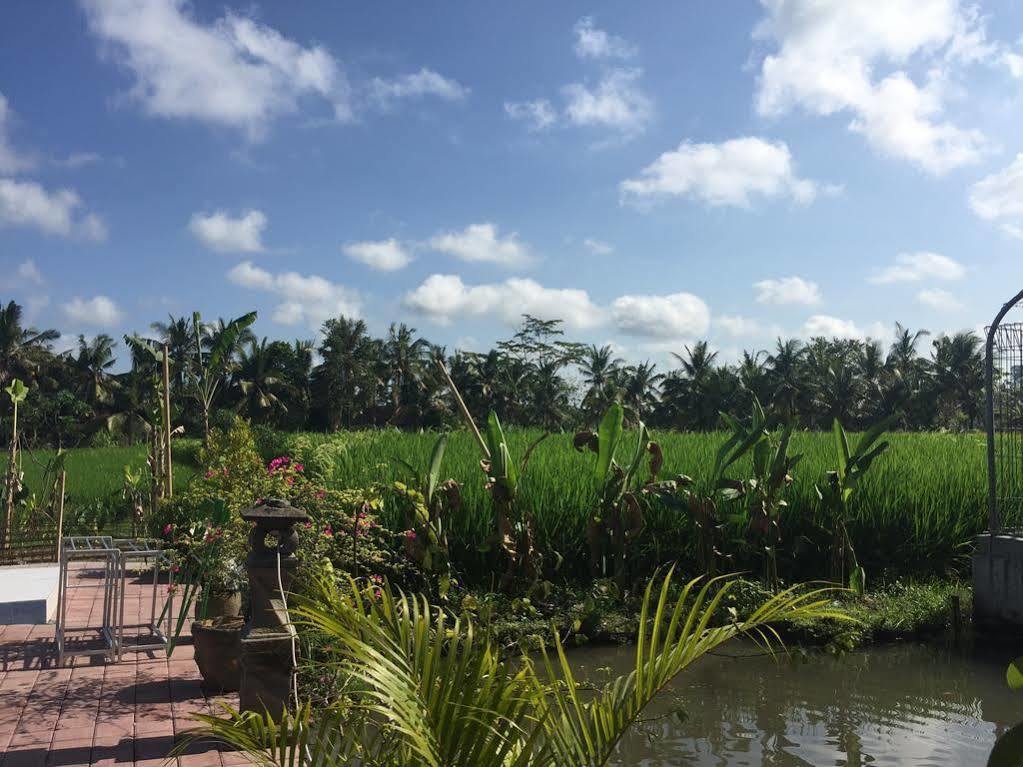 Soca House Guest house Ubud (Bali)