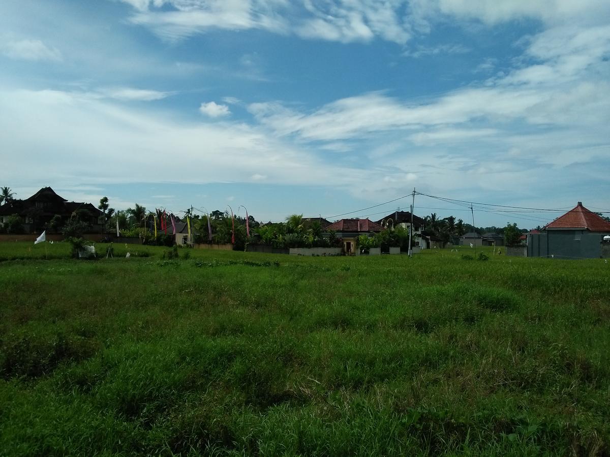 Rumah Rose Ubud (Bali)