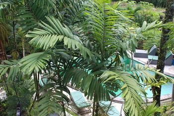 Villa Junjungan Resort Pool & Spa