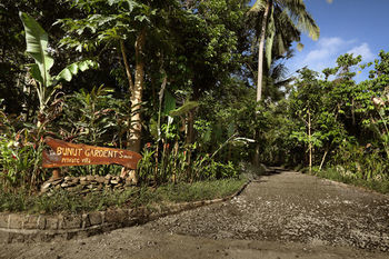 Bunut Garden Luxury Private
