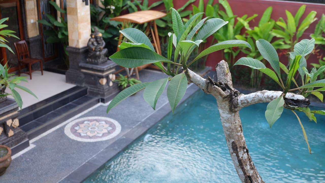 Wiki Bali 3* Ubud (Bali)