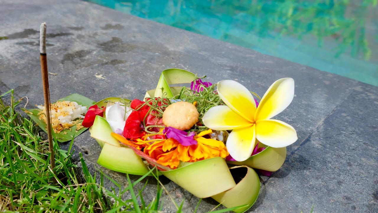 Wiki Bali Guest house 3*