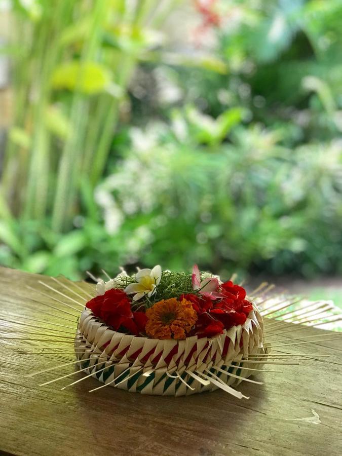 Kailash Bali *