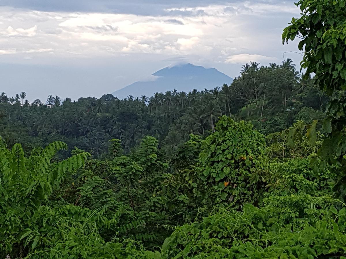 Bed & Breakfast Rumah Sungai Ubud (Bali)