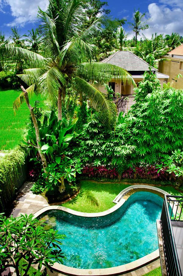 Guest house Puri Kobot 3*