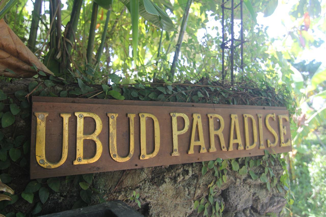 Paradise