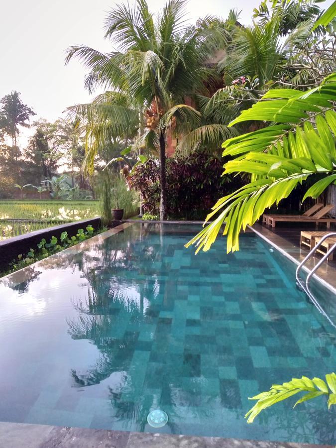 Bed & Breakfast Lestari