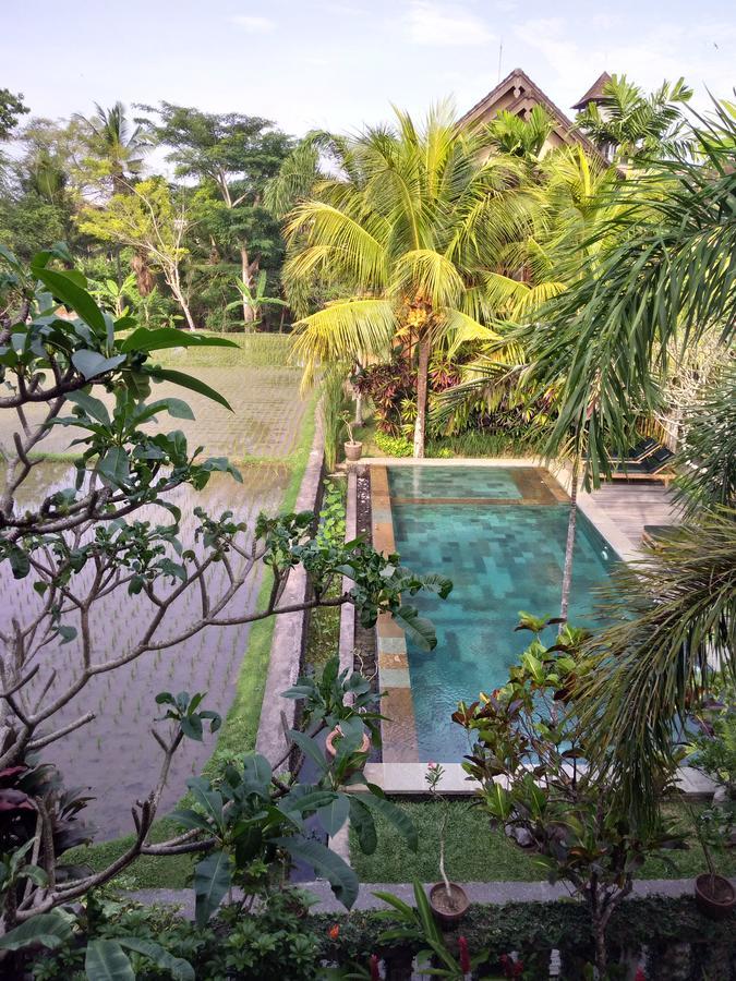 Bed & Breakfast Lestari