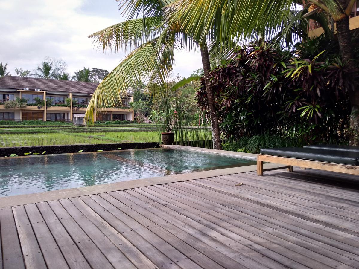Bed & Breakfast Lestari Ubud