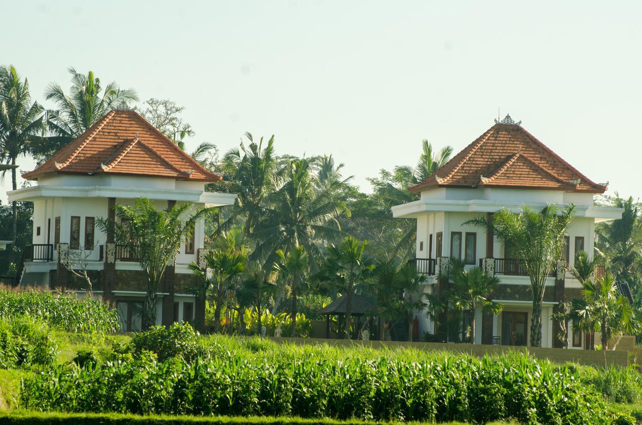 Lodge Cenik