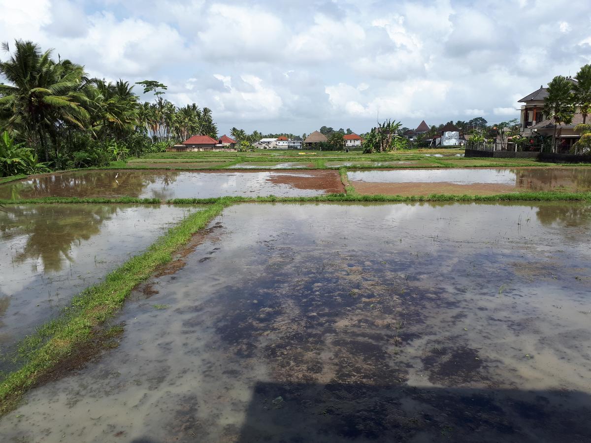 Kirani By Mahaputra-chse Certified Vila Ubud (Bali)