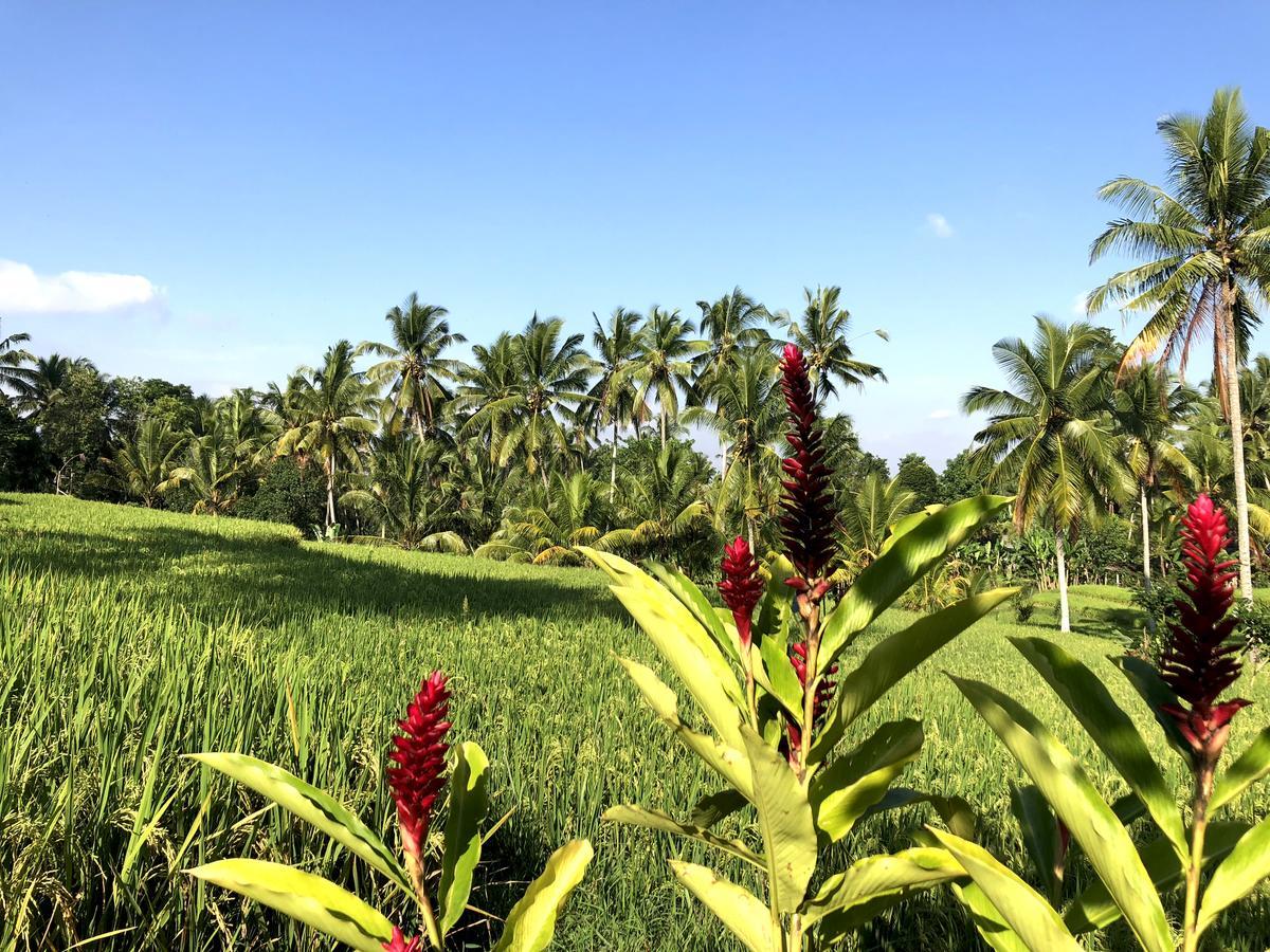 Neyang * Ubud (Bali)