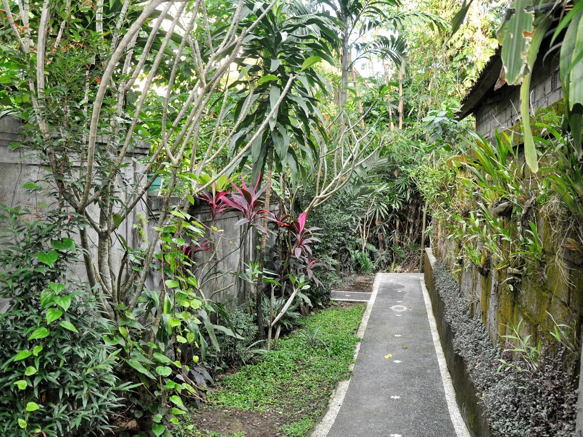 Pancer House *