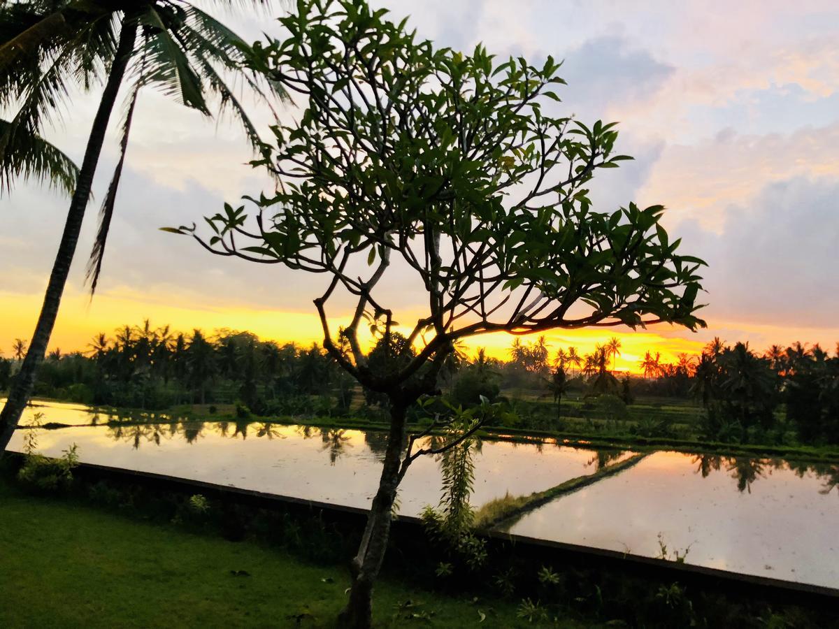 Villa Limasan, Ubud