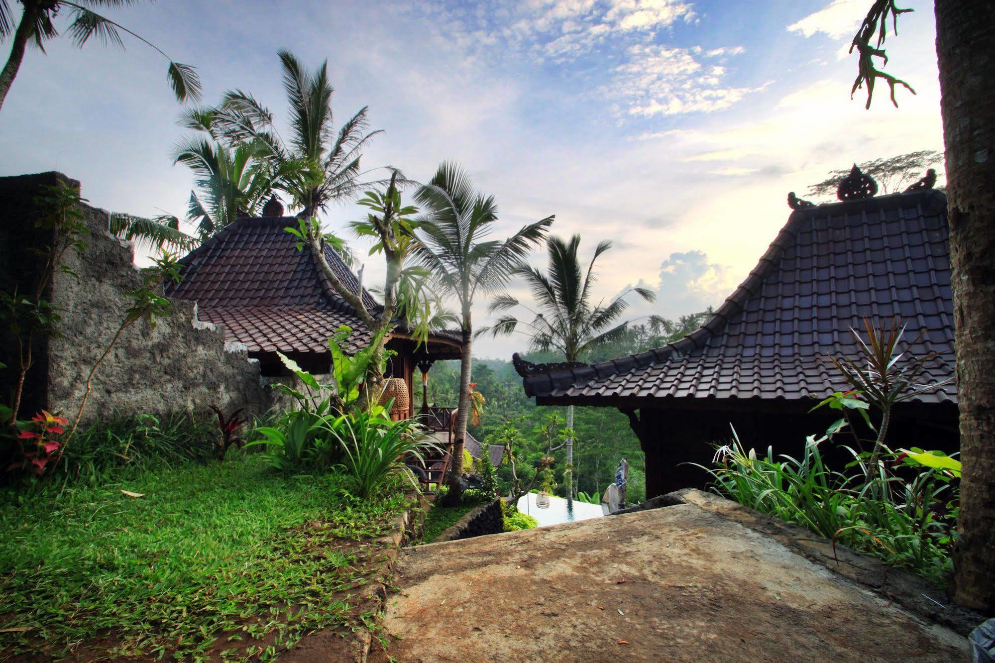 Jungle Holy Water Guest house 3*