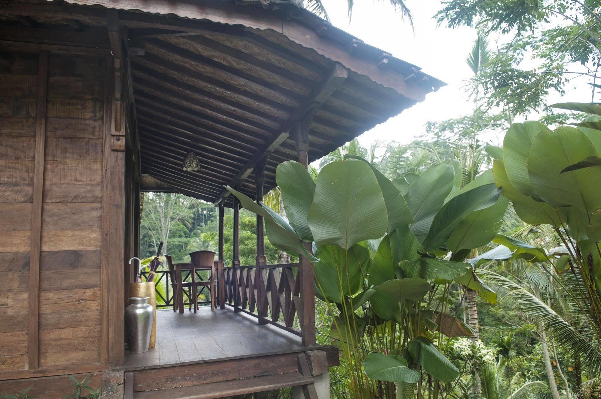 Jungle Holy Water Guest house Ubud (Bali)
