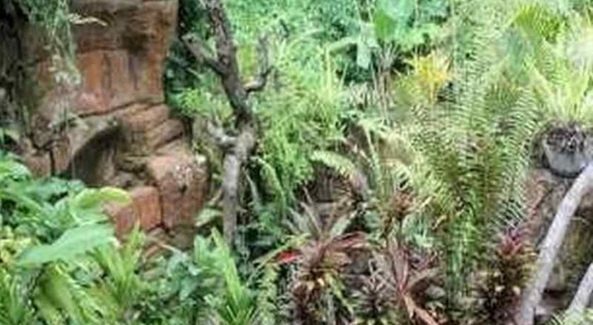 Ketekung Apartment Ubud (Bali)