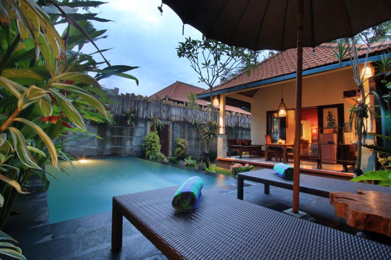 The Forest Vila