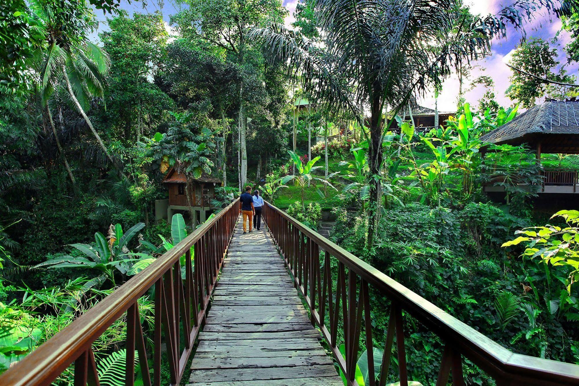 Heaven Sayan * Ubud