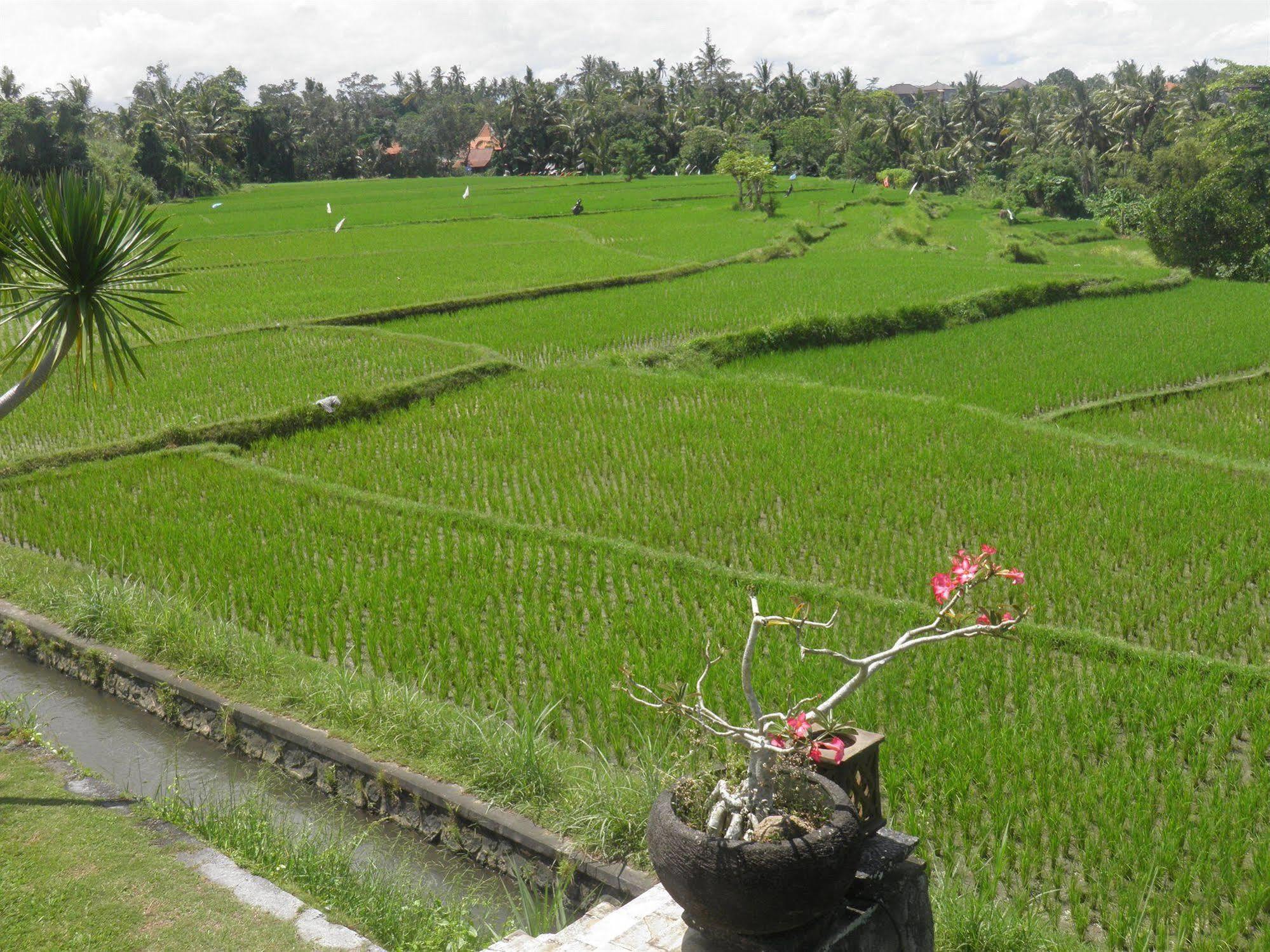 Resort Bumi
