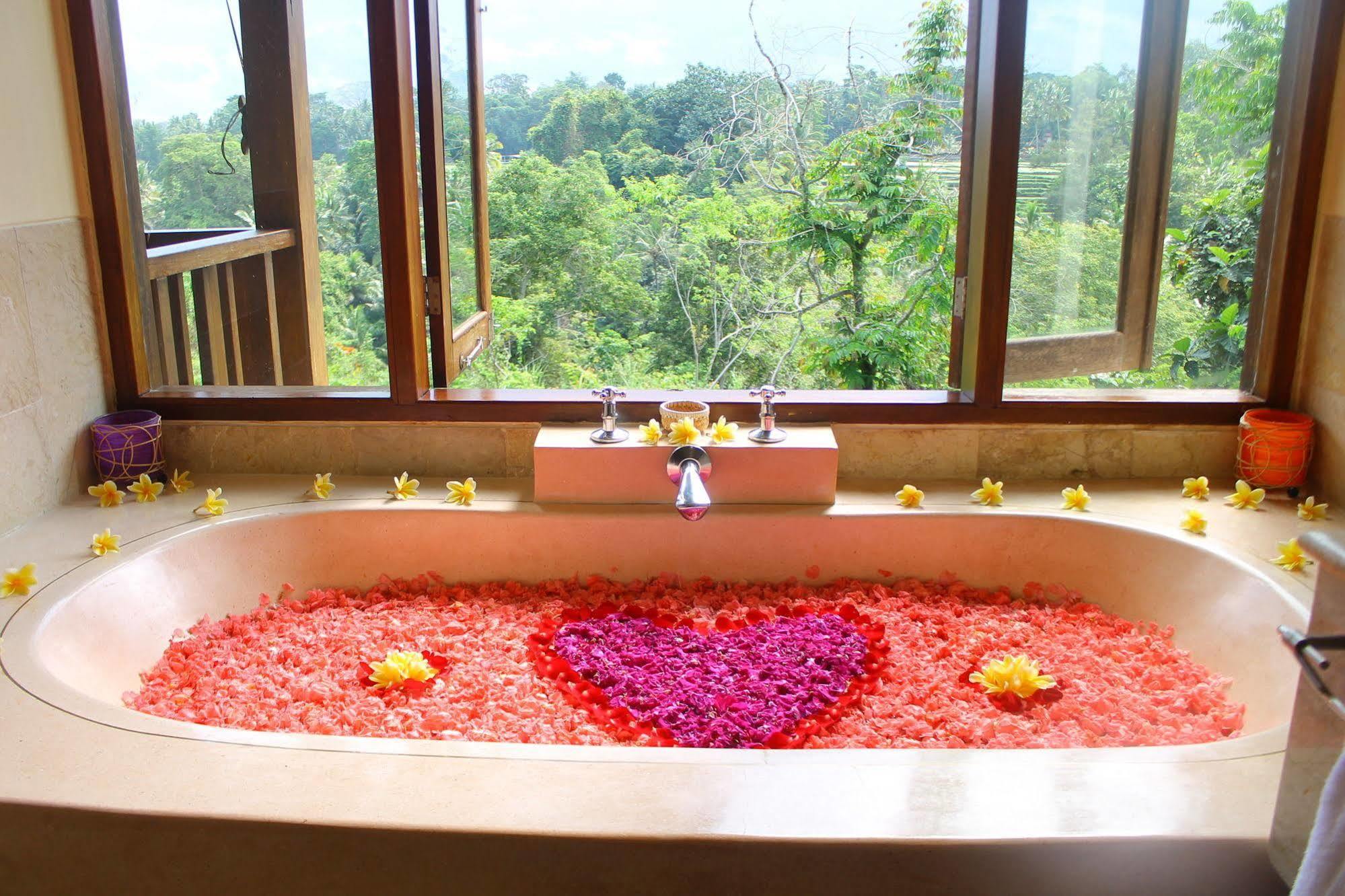 Bed & Breakfast Gayatri