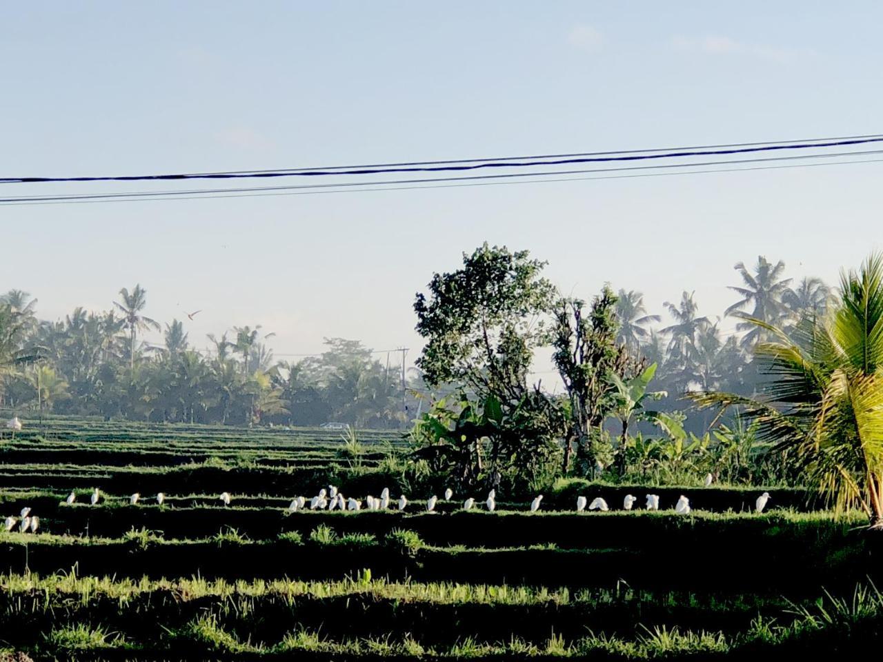Neyang Villa *