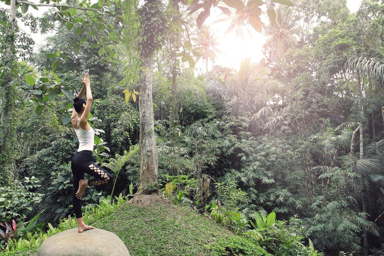 Resort The Sankara And By Pramana Ubud (Bali)