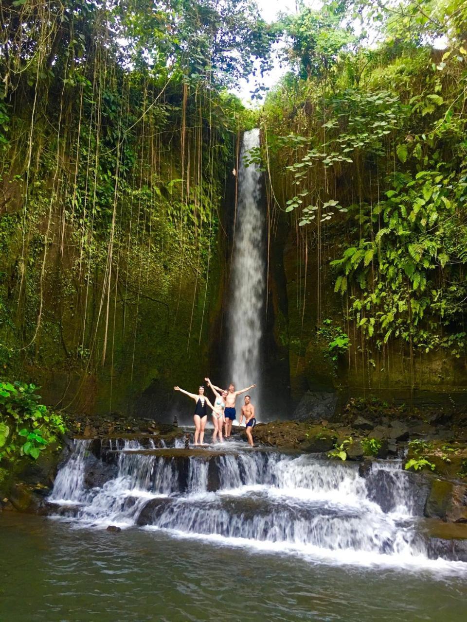 Guest house Wiki Bali Ubud (Bali)